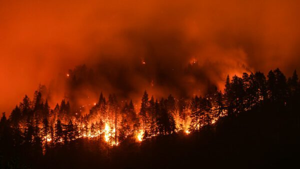 Donate to the British Columbia Fires Appeal